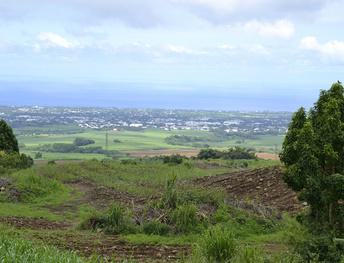 Réalisation du SCoT Territoire Est de la Réunion  