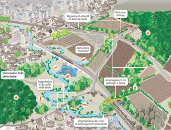 Assistance aux communes pour l'intégration des corridors dans les documents d'urbanisme de Saint Etienne Métropole